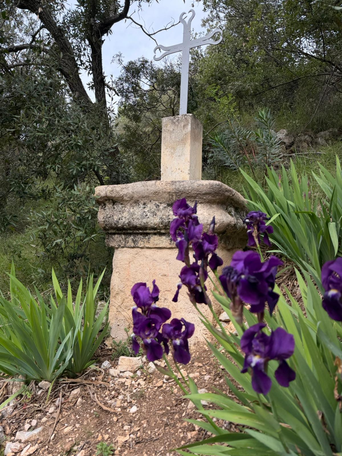 Croix de chemin entourée d'iris