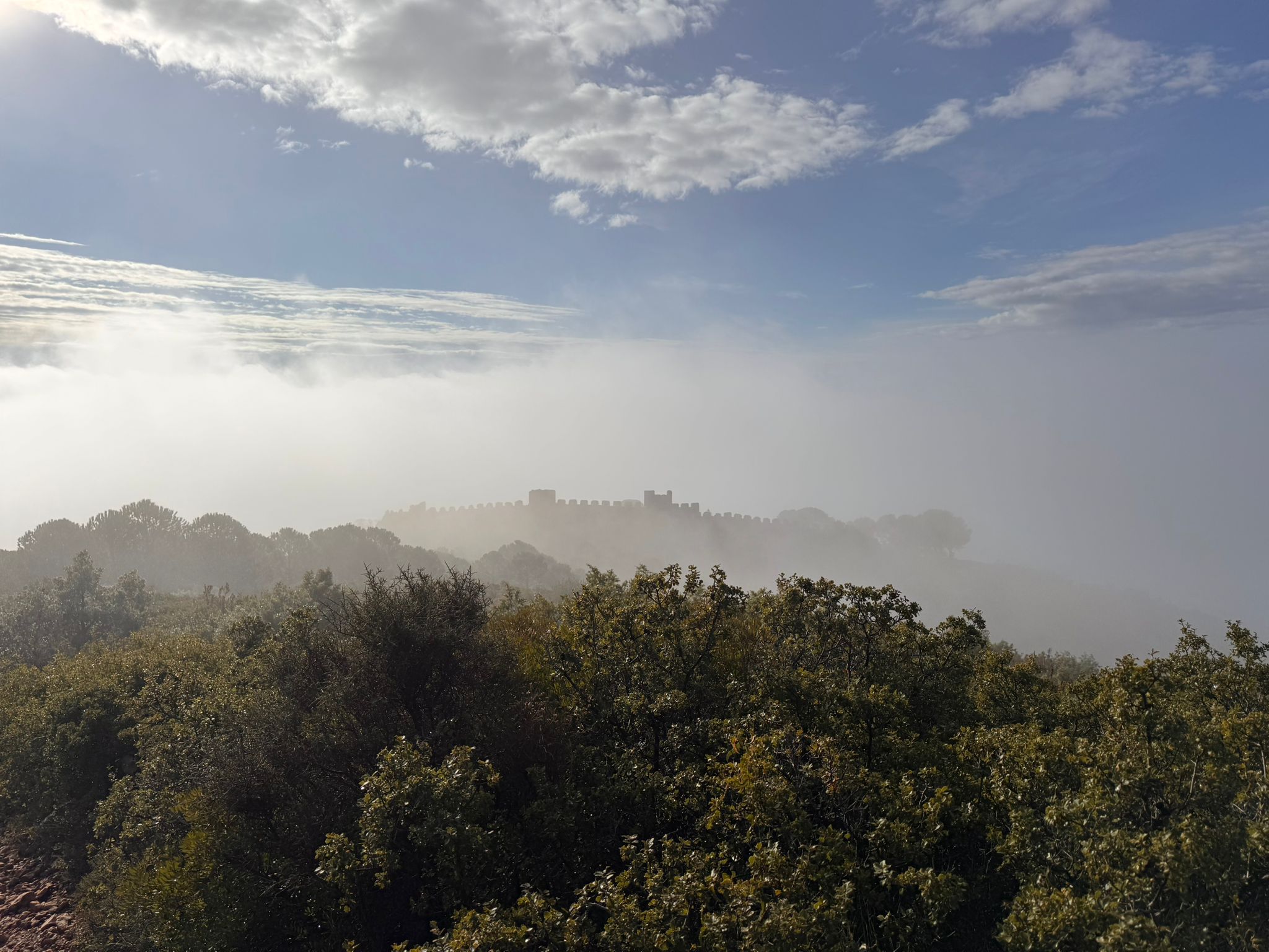 Le Castellas de Montpeyroux émergeant de la brume au lever du jour